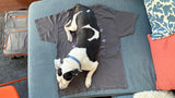 Snoopy the dog lying on a t-shirt featuring an illustration of himself :)